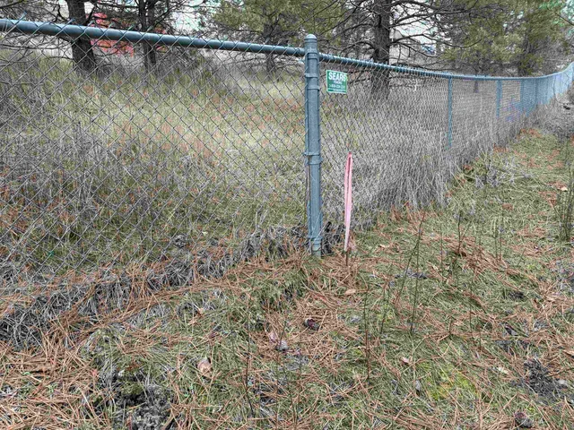 $59,900 | Nka East Stringham Road, Rockford, WA 99030