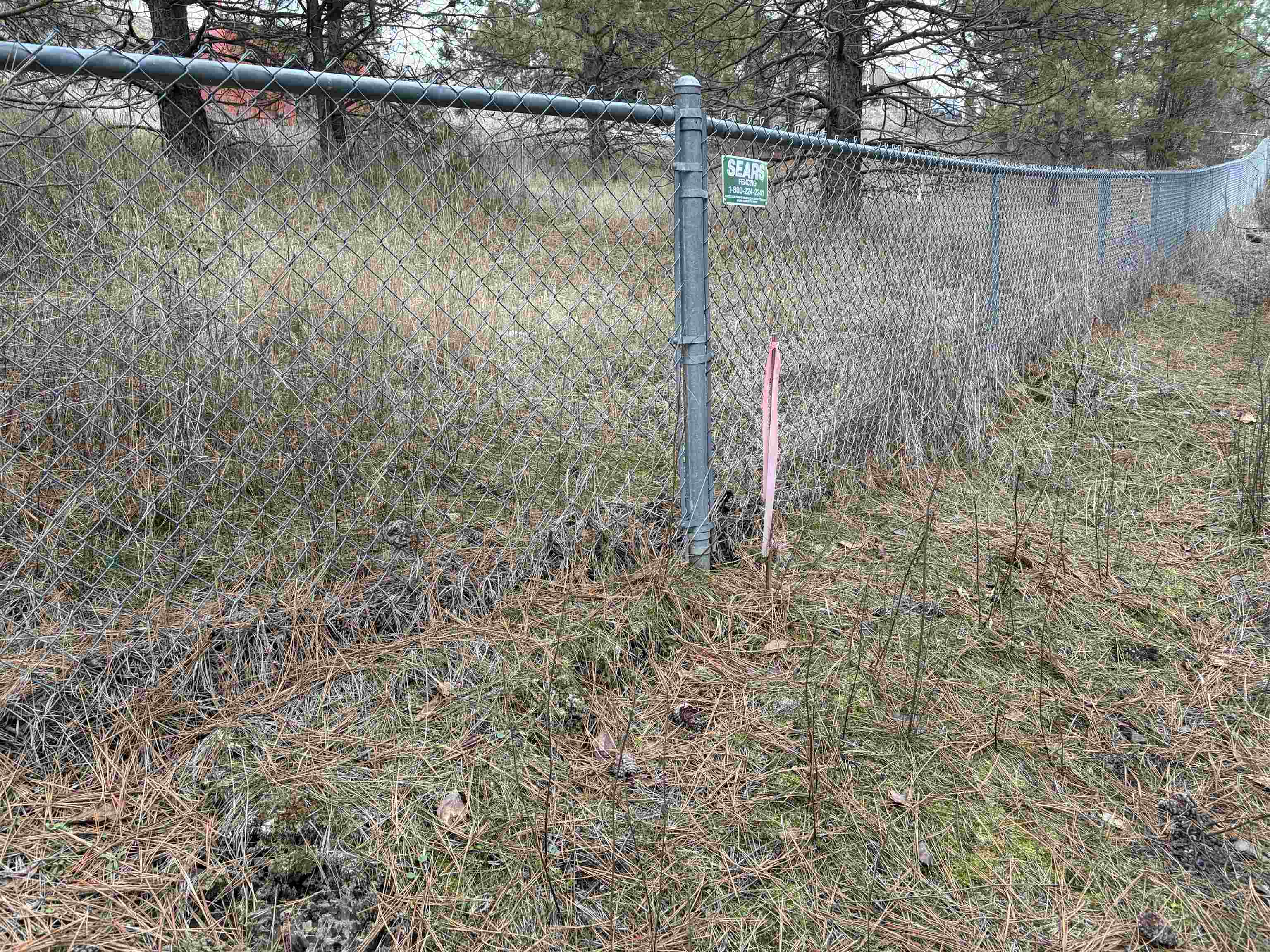 Nka East Stringham Road Rockford, WA 99030 - Photo 2 of 10