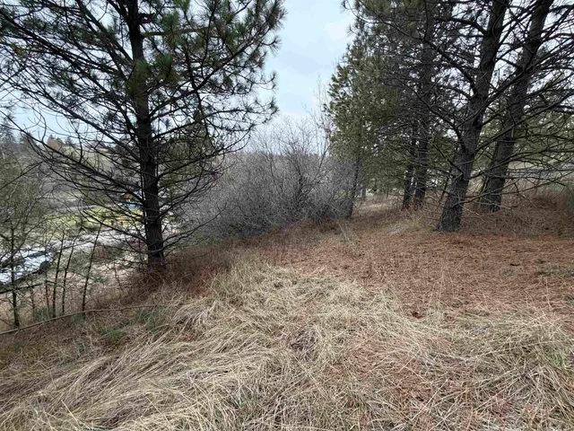 $59,900 | Nka East Stringham Road, Rockford, WA 99030