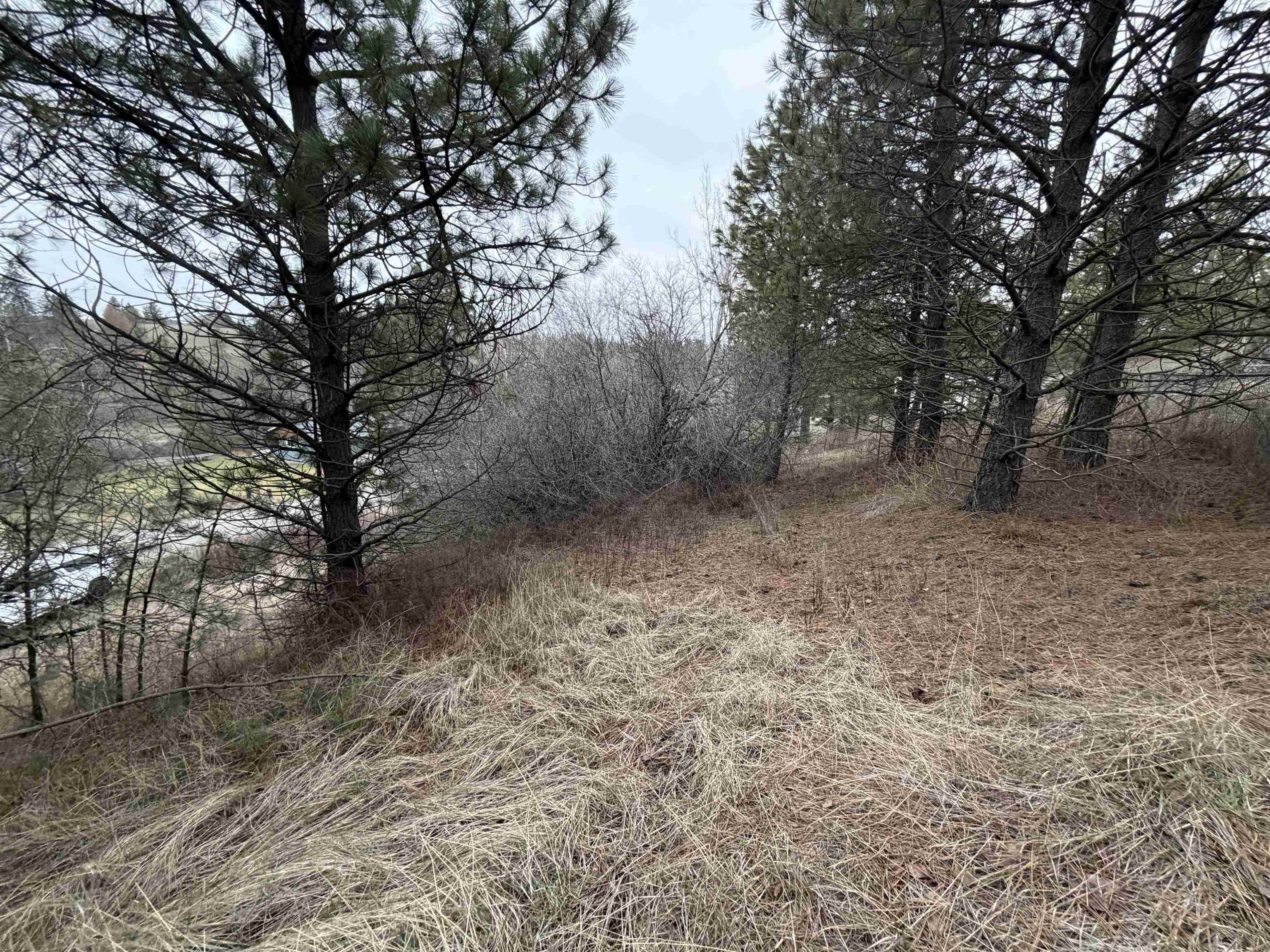 Nka East Stringham Road Rockford, WA 99030 - Photo 3 of 10