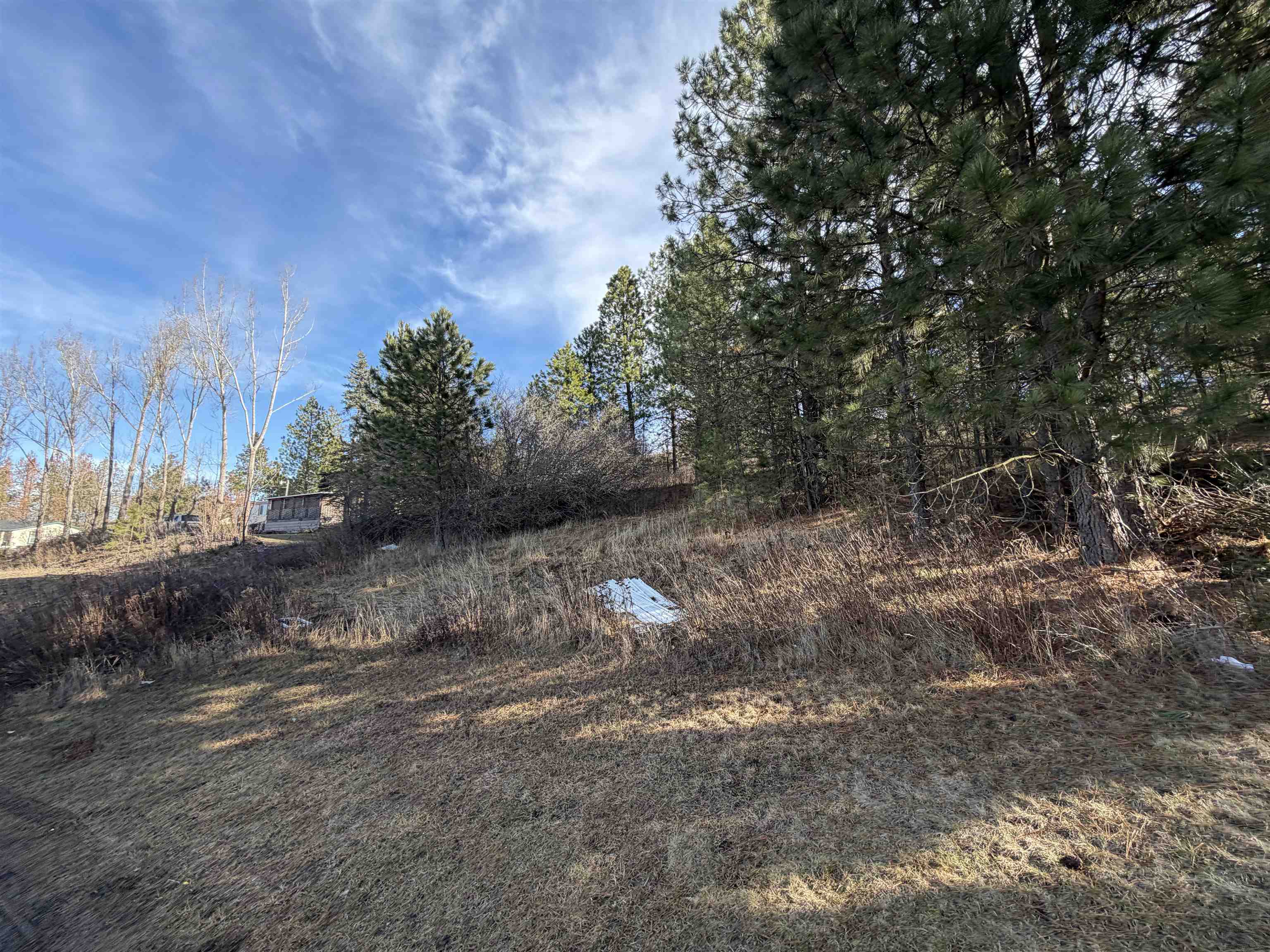 Nka East Stringham Road Rockford, WA 99030 - Photo 4 of 9