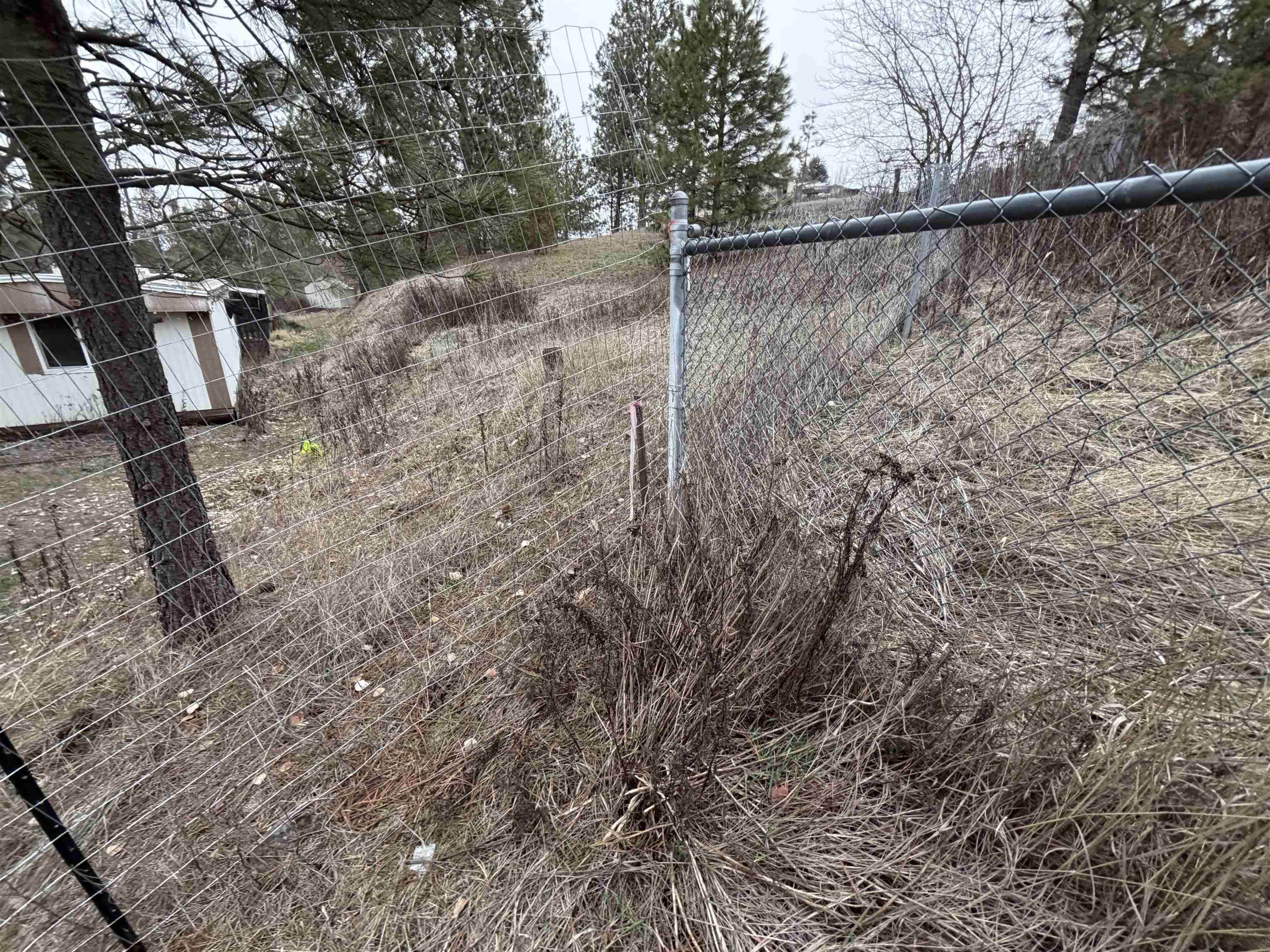 Nka East Stringham Road Rockford, WA 99030 - Photo 4 of 10