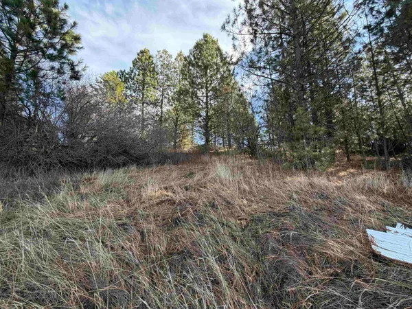 $59,900 | Nka East Stringham Road, Rockford, WA 99030