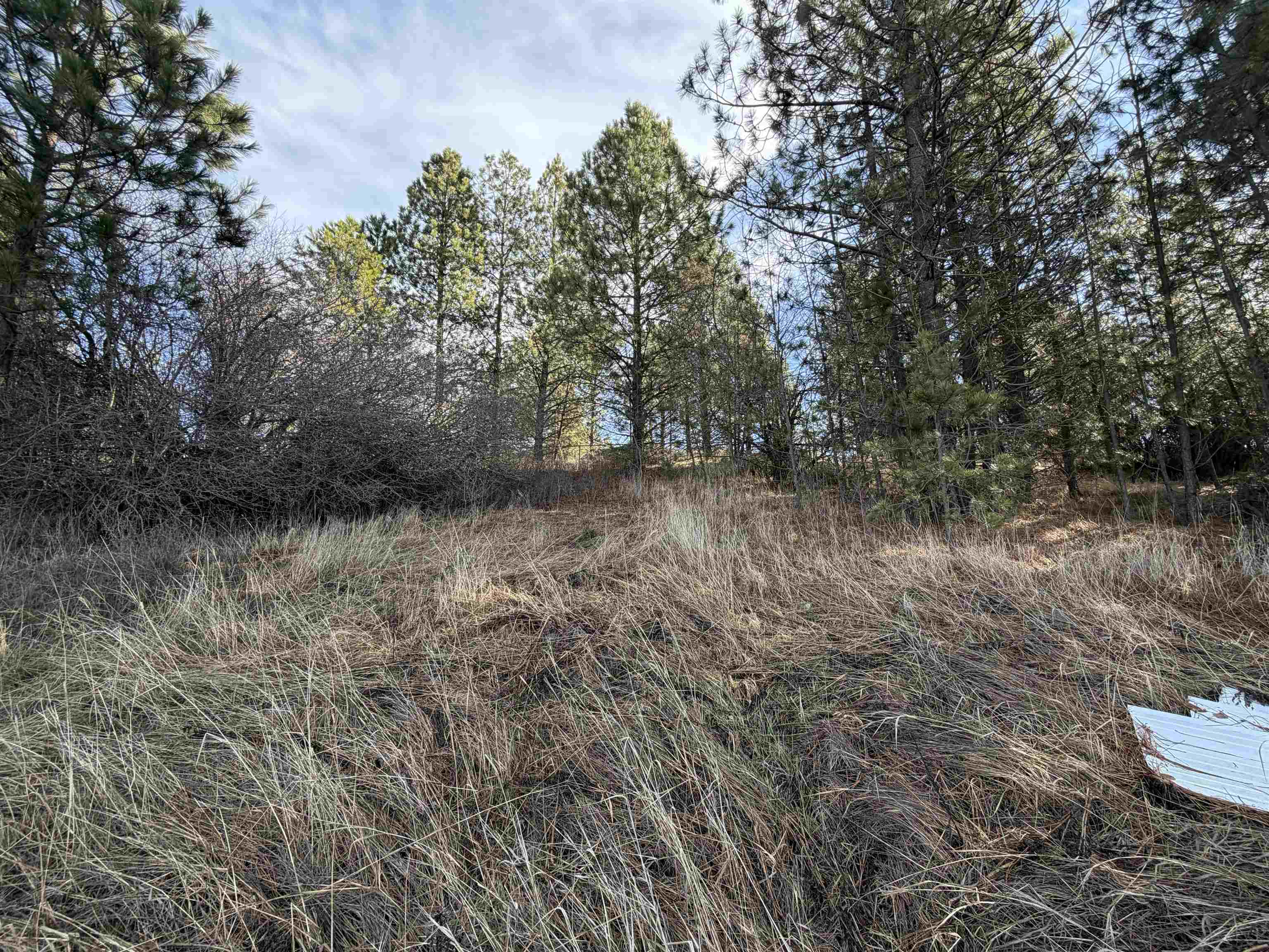 Nka East Stringham Road Rockford, WA 99030 - Photo 5 of 9