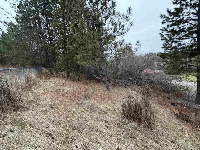 $59,900 | Nka East Stringham Road, Rockford, WA 99030