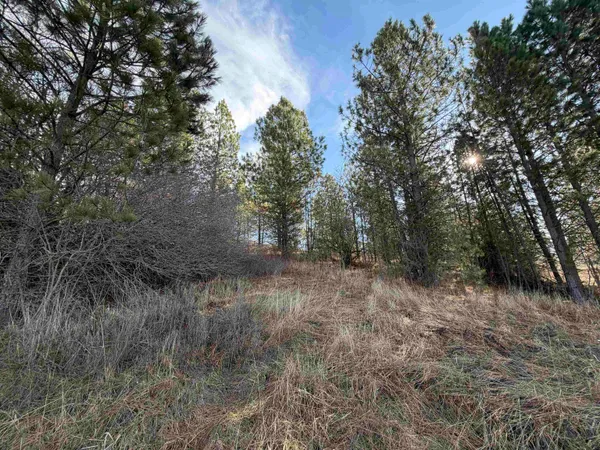 $59,900 | Nka East Stringham Road, Rockford, WA 99030