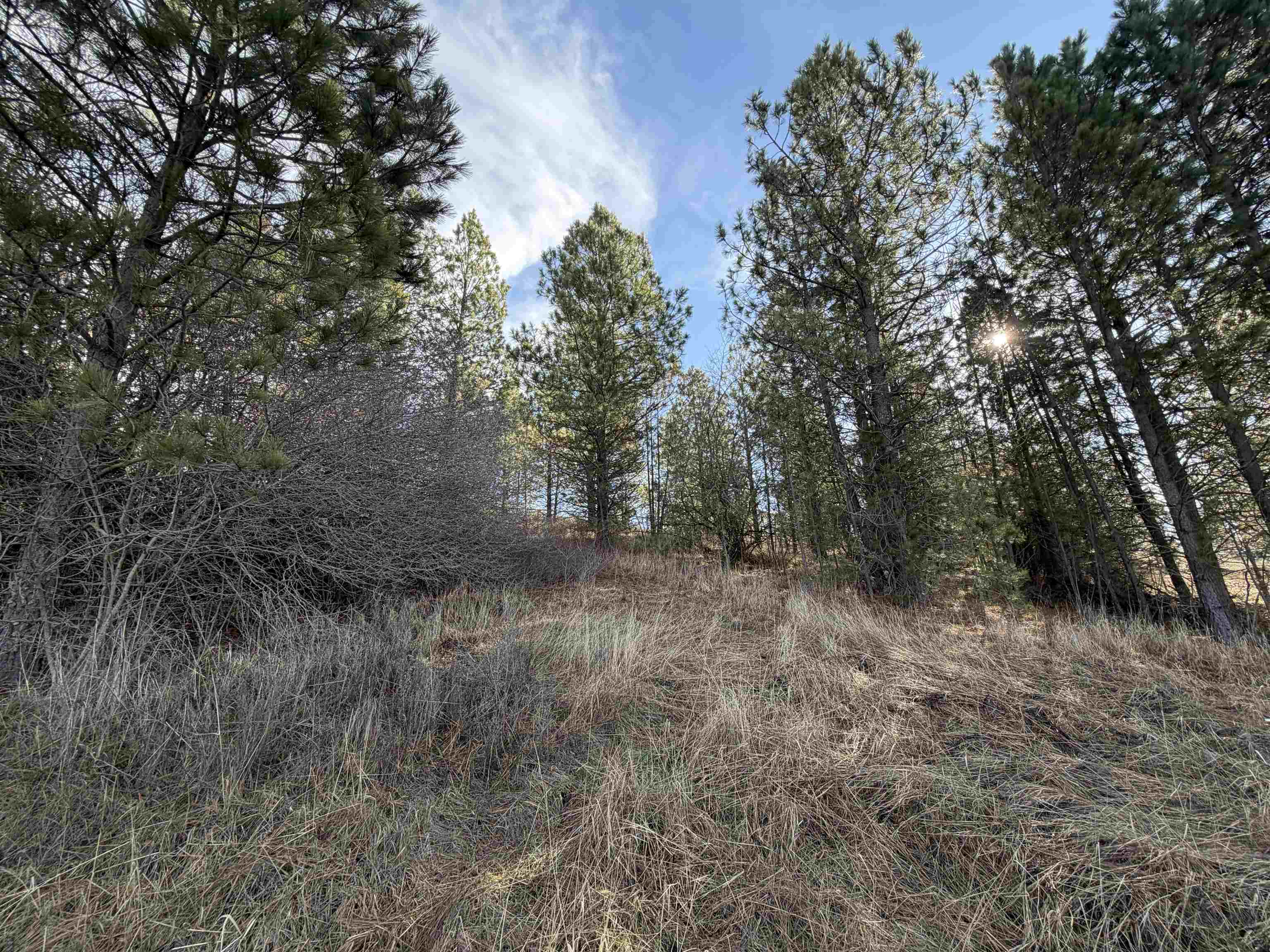 Nka East Stringham Road Rockford, WA 99030 - Photo 6 of 9