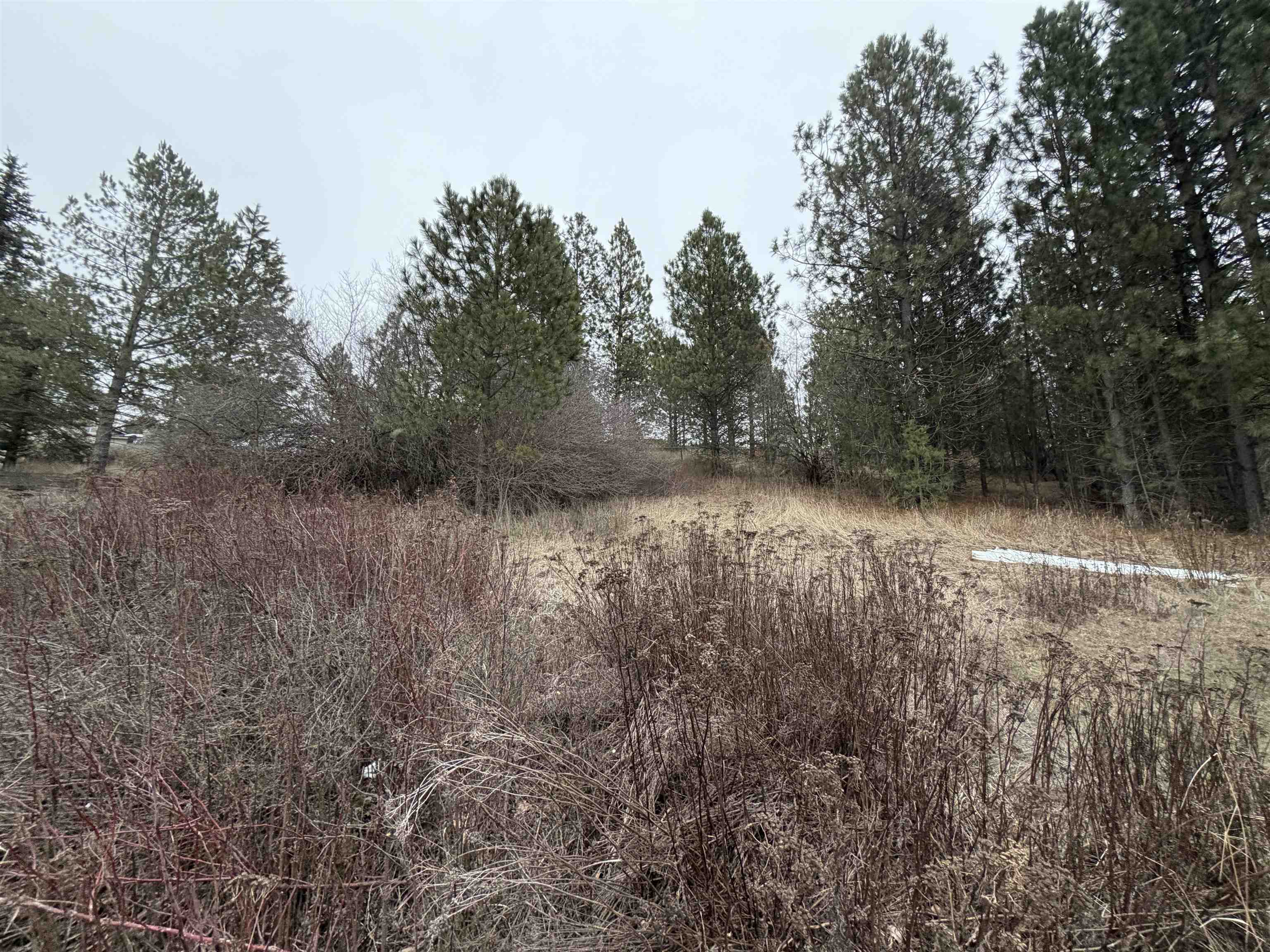 Nka East Stringham Road Rockford, WA 99030 - Photo 6 of 10