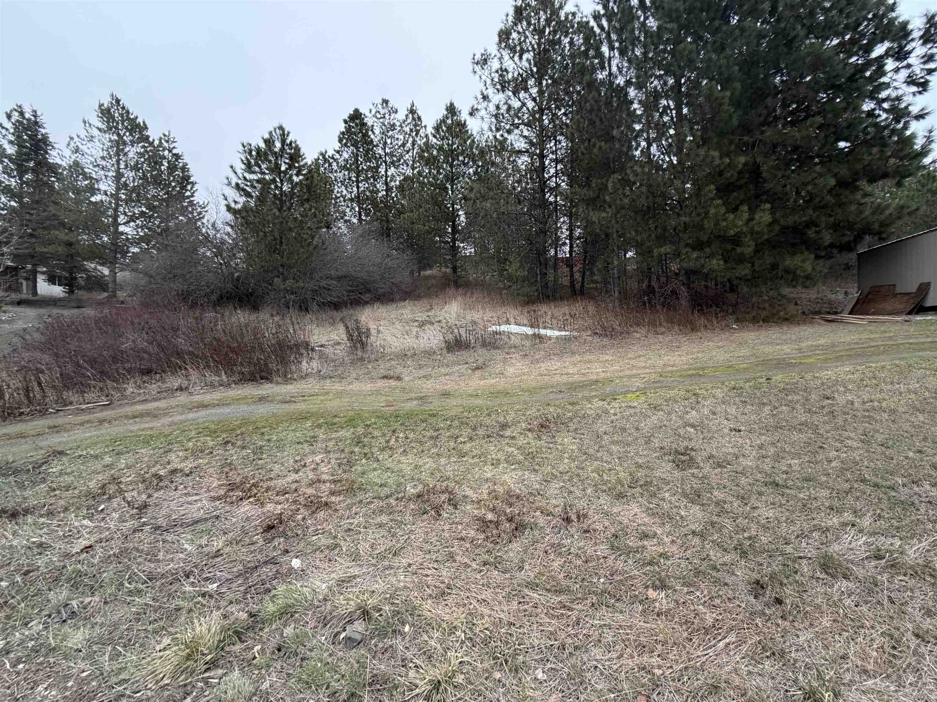 Nka East Stringham Road Rockford, WA 99030 - Photo 8 of 10