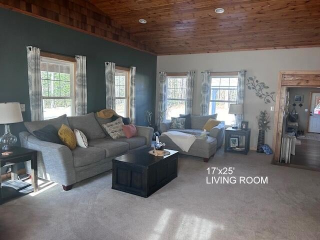 7644 Spruce Road Alpena, MI 49707 - Photo 36 of 96 Gallery Image 36