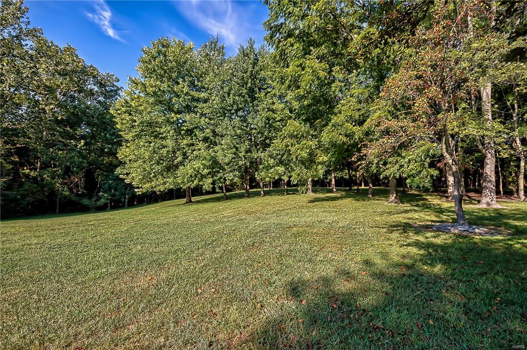 4747 South Hazel Road Edwardsville, IL 62025 - Photo 9 of 46