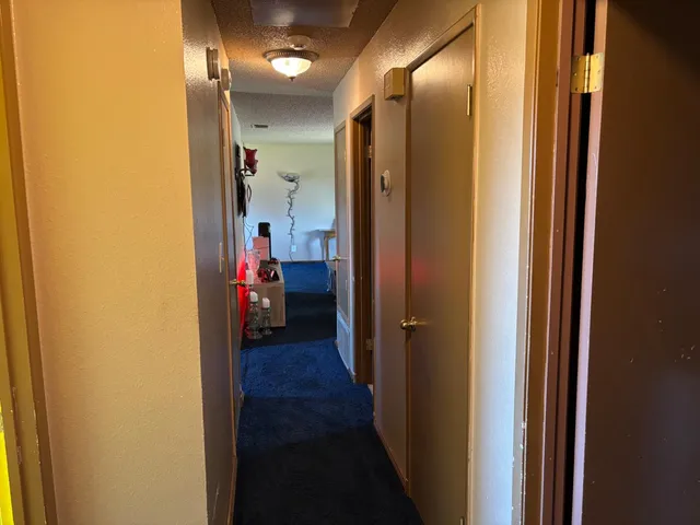 a view of a backyard with large trees and wooden fence