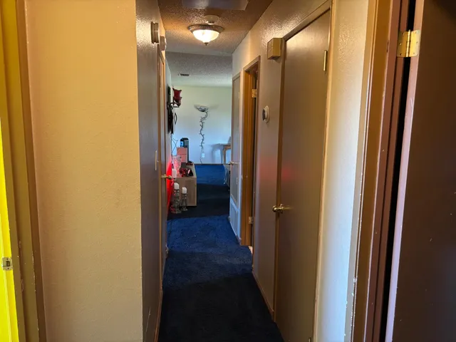 a view of a pathway with a garden