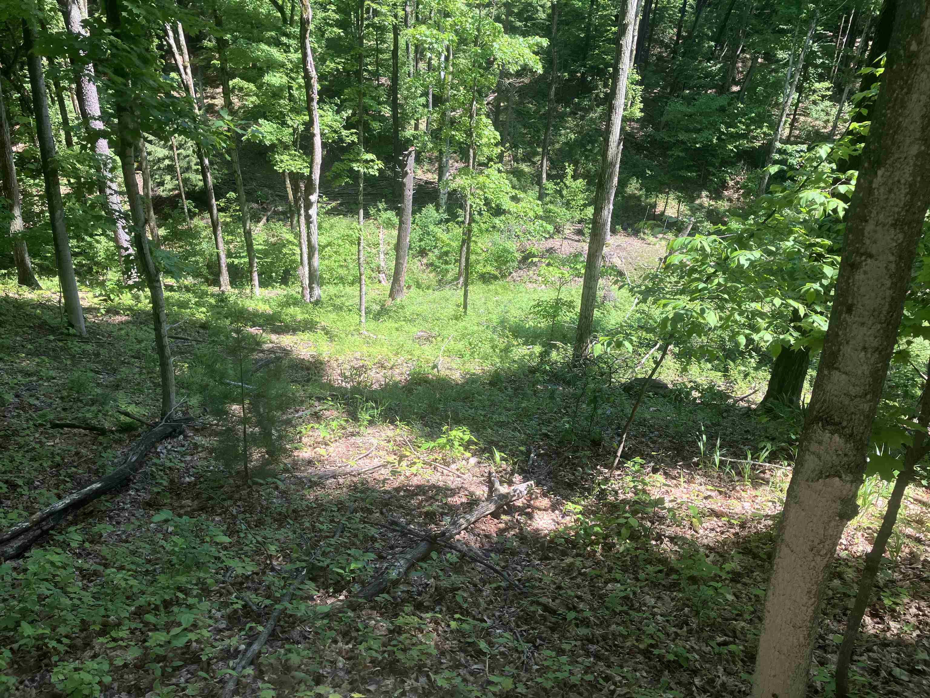 Tbd Dorman Road Northeast Kalkaska, MI 49646 - Photo 9 of 14