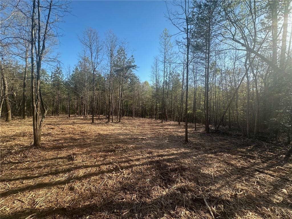 0 Lee Mashburn Road Dahlonega, GA 30533 - Photo 7 of 19