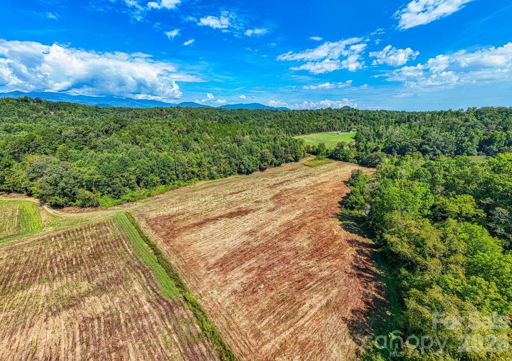 1891 Silvers Welch Road Old Fort, NC 28762 - Photo 5 of 23 Gallery Image 5