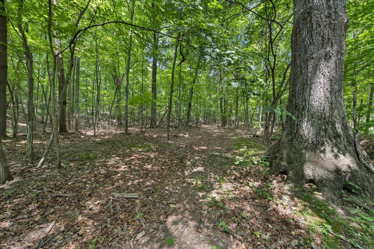 0 Old Tram Road Blue Ridge, VA 24064 - Photo 1 of 5 a big yard with lots of green space and trees