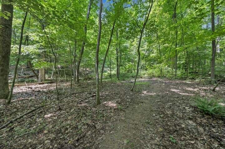 0 Old Tram Road Blue Ridge, VA 24064 - Photo 4 of 5 a view of a forest with trees in the background