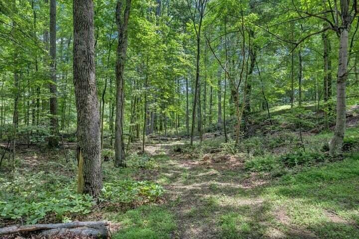 0 Old Tram Road Blue Ridge, VA 24064 - Photo 5 of 5 a view of outdoor space and green space