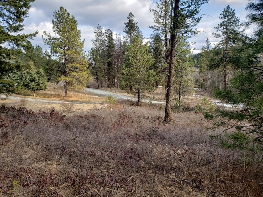 4-xx Graham Road Colville, WA 99114 - Photo 1 of 13