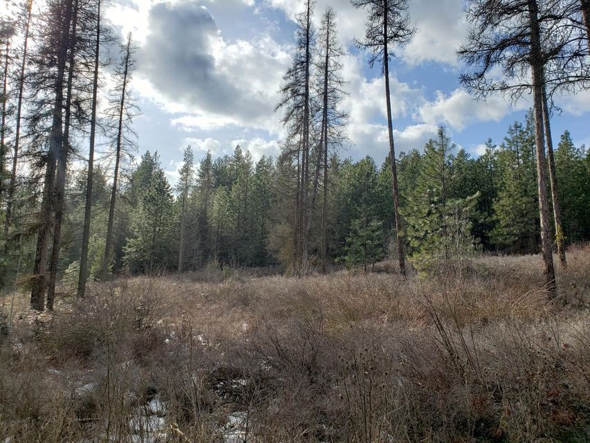 4-xx Graham Road Colville, WA 99114 - Photo 11 of 13