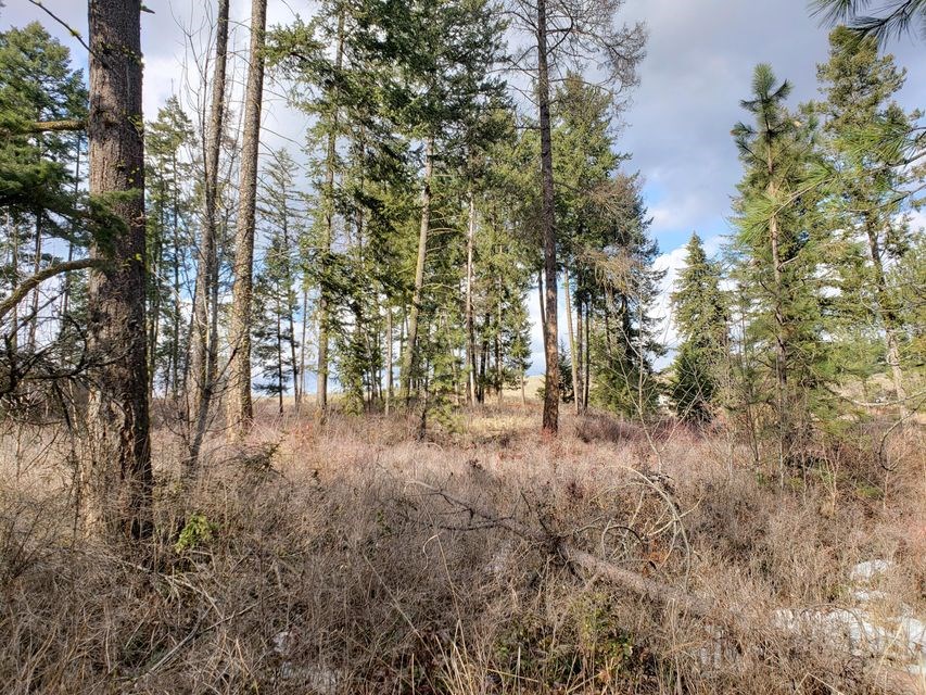 4-xx Graham Road Colville, WA 99114 - Photo 12 of 13