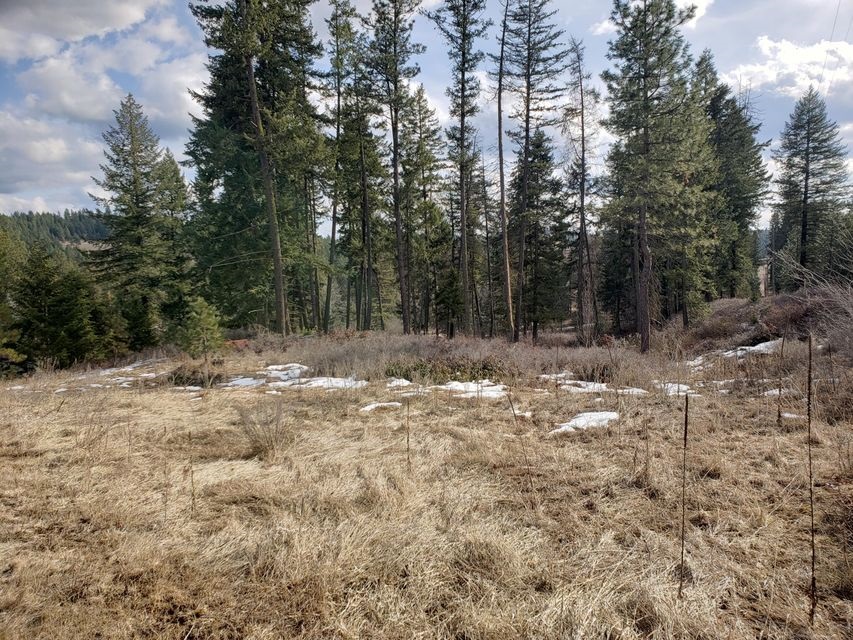 4-xx Graham Road Colville, WA 99114 - Photo 13 of 13