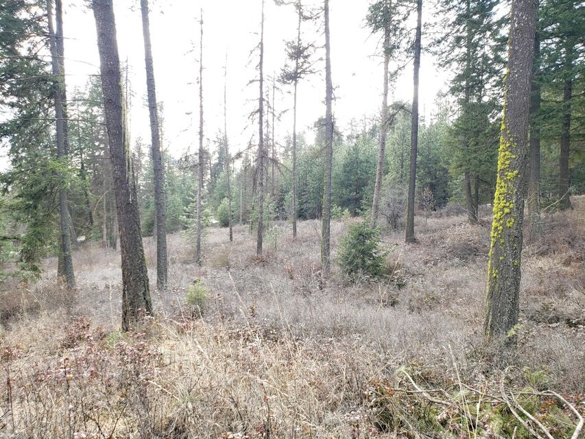 4-xx Graham Road Colville, WA 99114 - Photo 3 of 13
