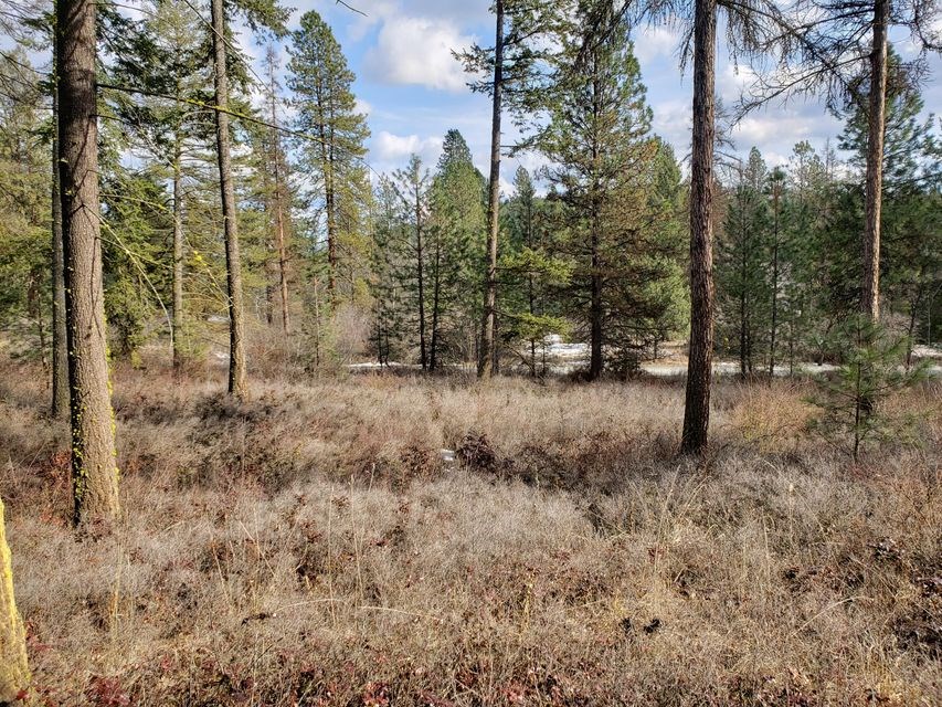 4-xx Graham Road Colville, WA 99114 - Photo 4 of 13