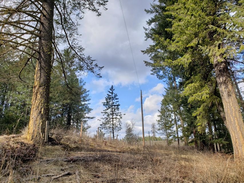 4-xx Graham Road Colville, WA 99114 - Photo 5 of 13