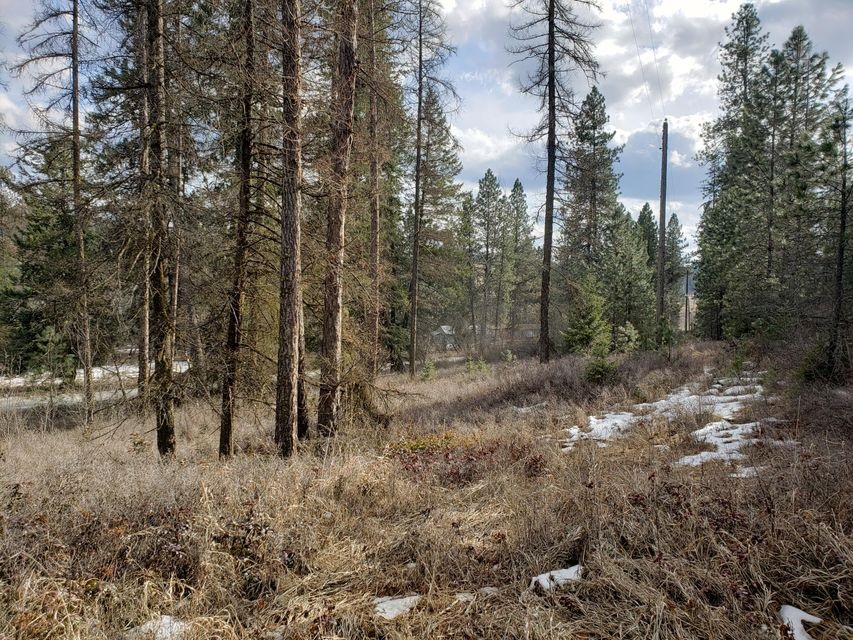 4-xx Graham Road Colville, WA 99114 - Photo 6 of 13