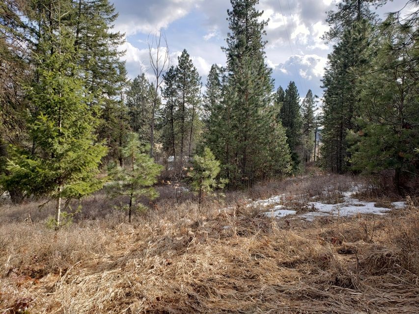 4-xx Graham Road Colville, WA 99114 - Photo 8 of 13