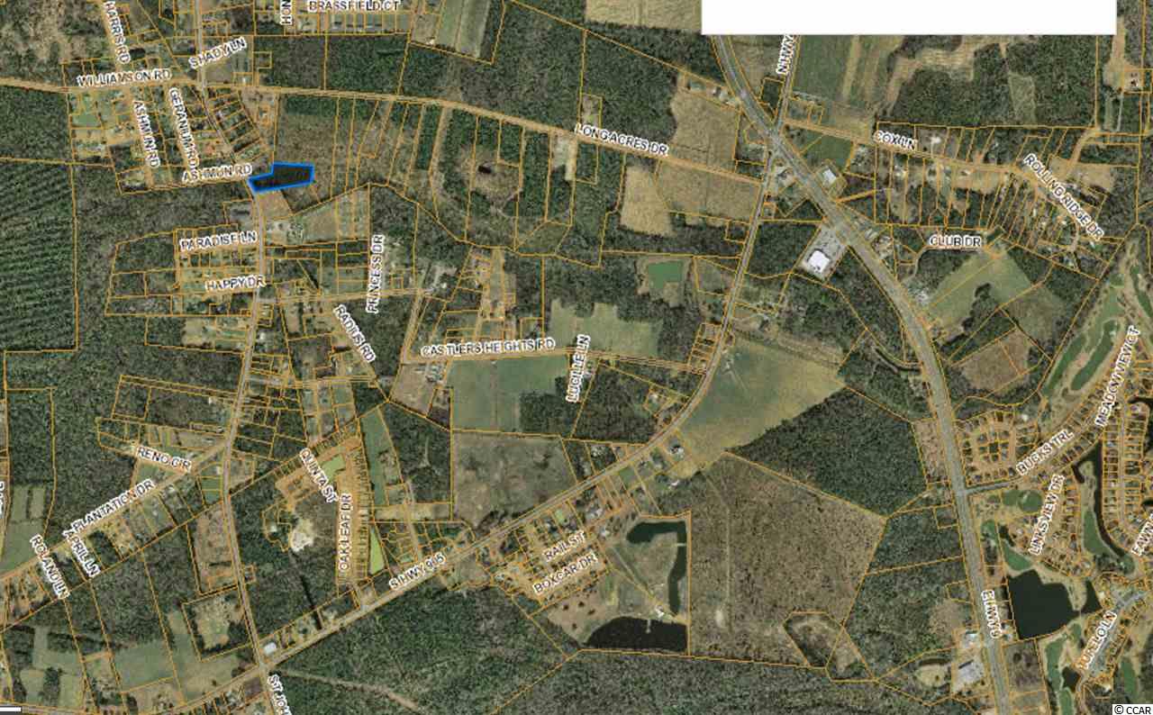 2.01-acres Freemont Road Longs, SC 29568 - Photo 3 of 3 Gallery Image 3
