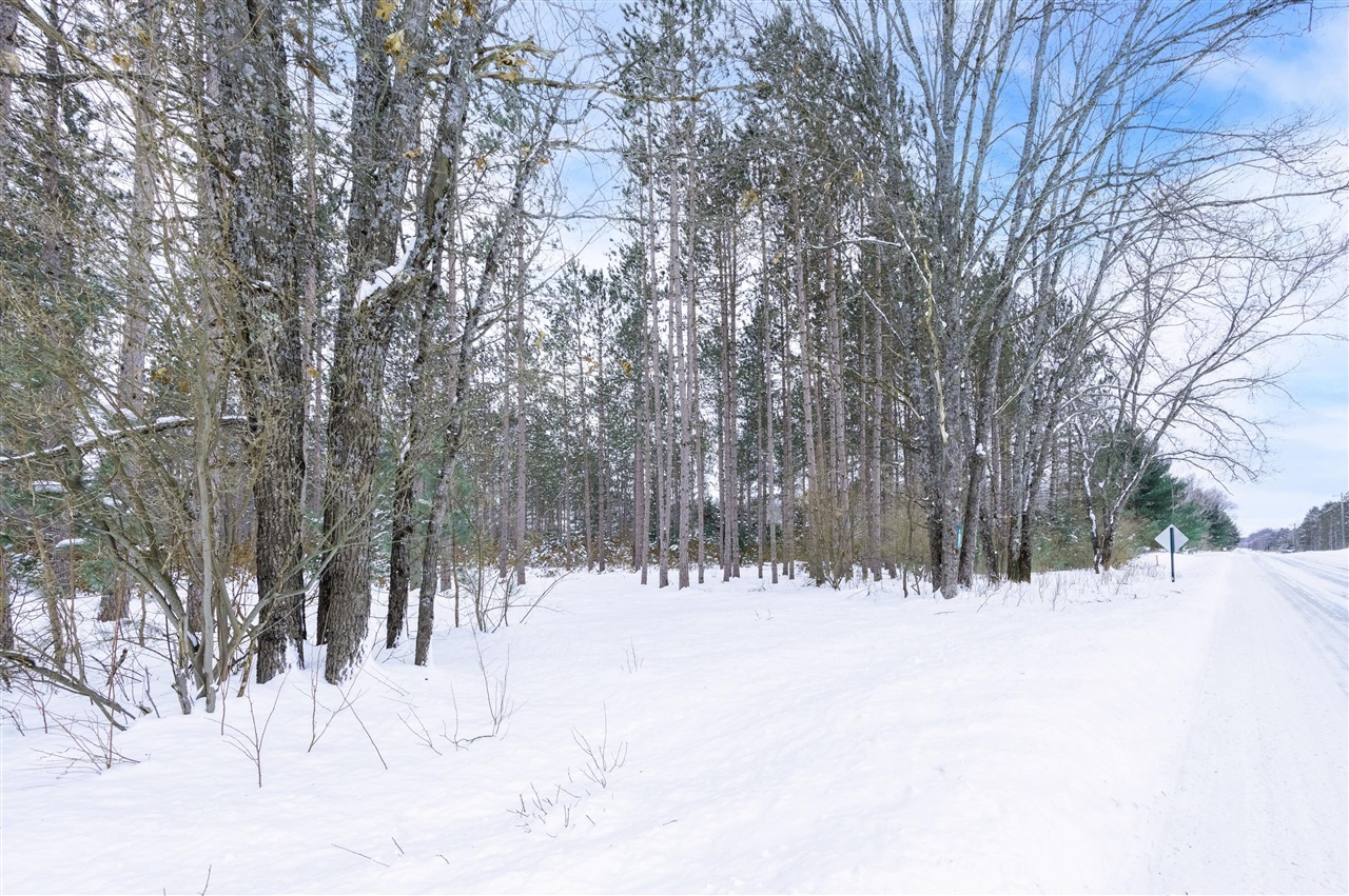 8 West 8 Mile Road Free Soil, MI 49411 - Photo 2 of 9