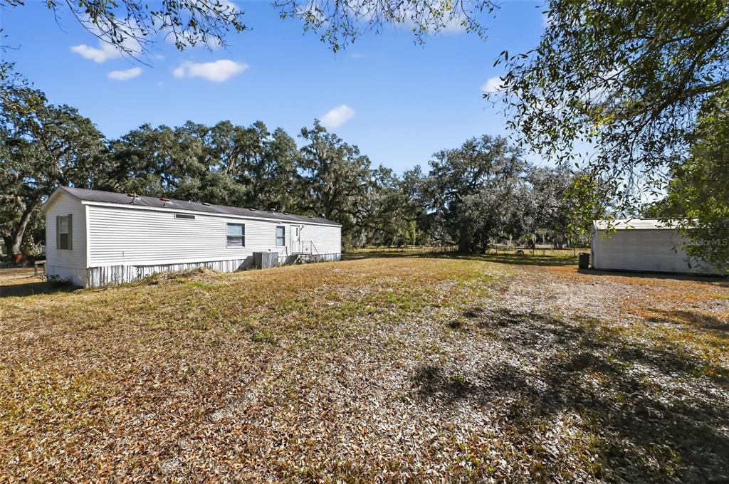 7405 Bonnie Lake Road Brooksville, FL 34601 - Photo 12 of 14 a view of backyard and tree