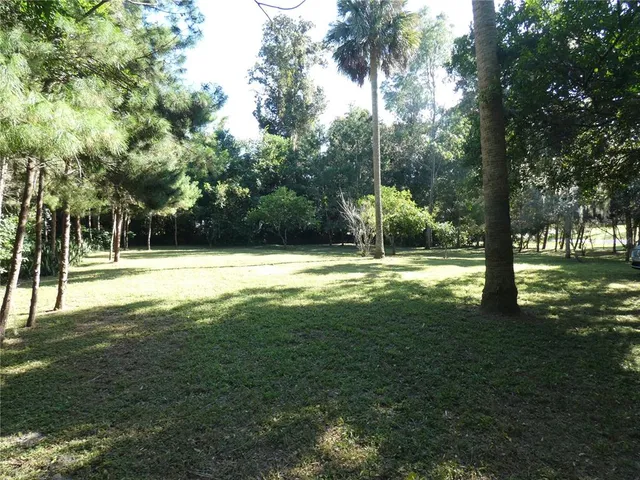 a view of outdoor space with trees