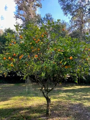 $314,900 | 237 Cortez Avenue, De Leon Springs, FL 32130