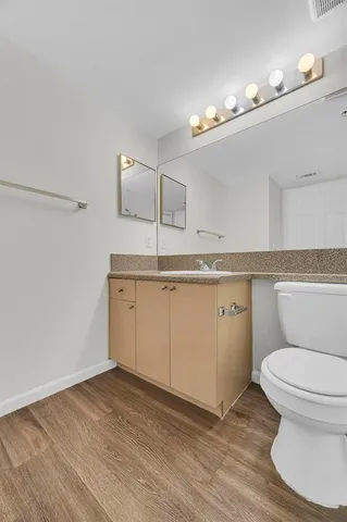 a bathroom with a sink a toilet and vanity