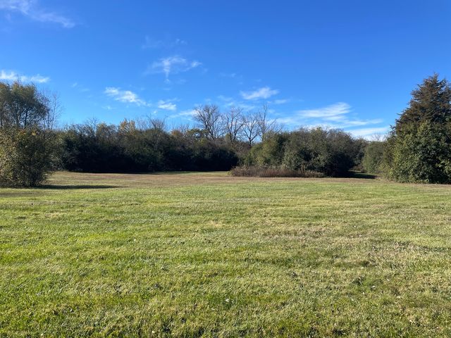 a view of a field with an ocean