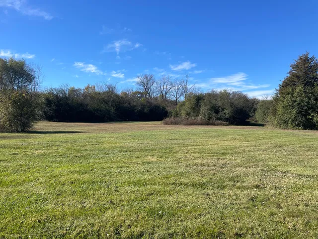 a view of a field with an ocean