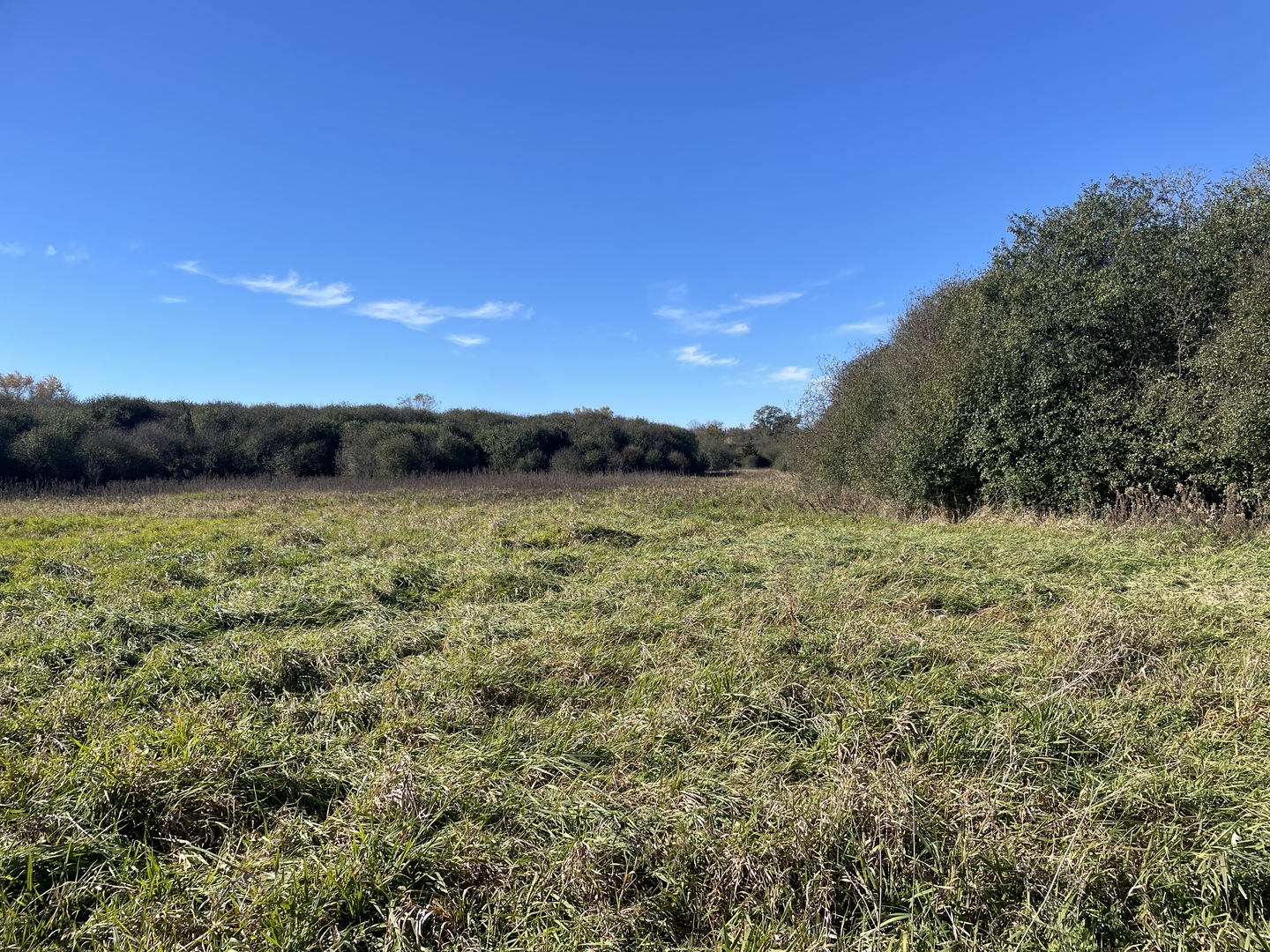 4115 State Rte 31 Crystal Lake, IL 60012 - Photo 2 of 14 a view of a lake view