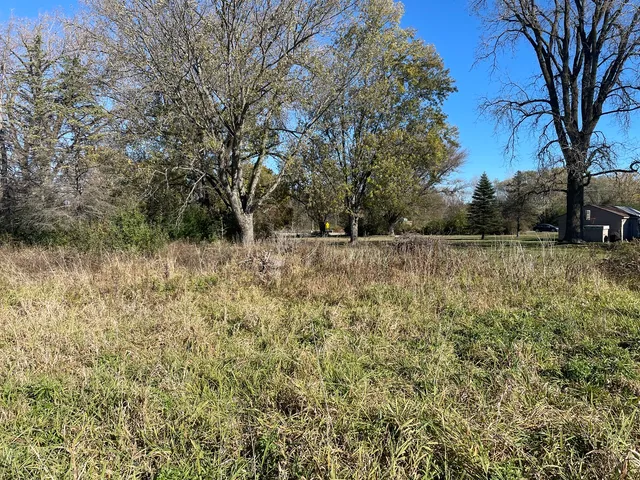 a view of a yard with a tree