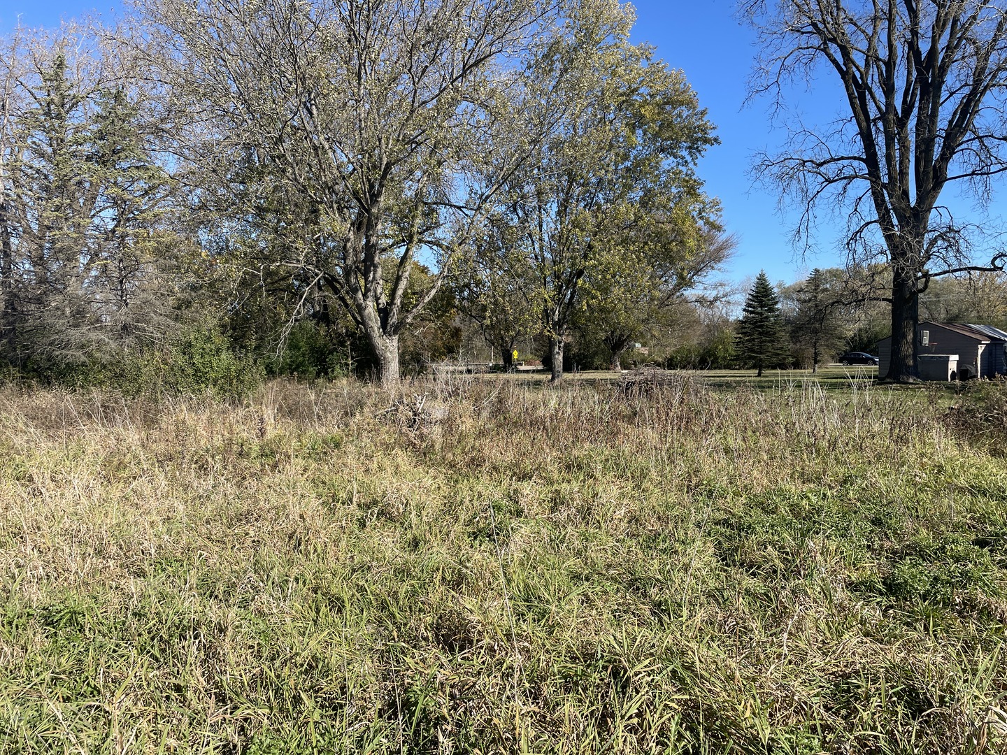 4115 State Rte 31 Crystal Lake, IL 60012 - Photo 5 of 14 a view of a yard with a tree