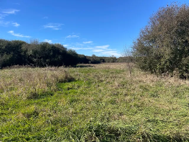a view of lake with mountain