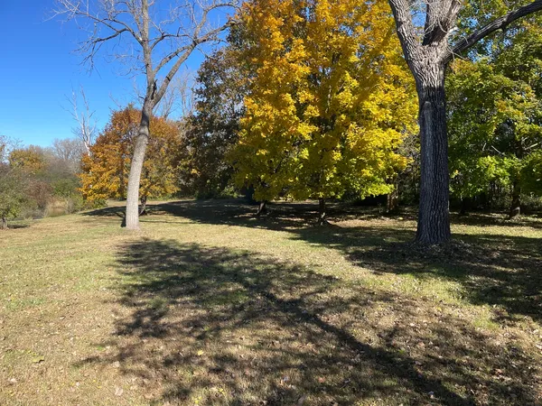 a view of yard
