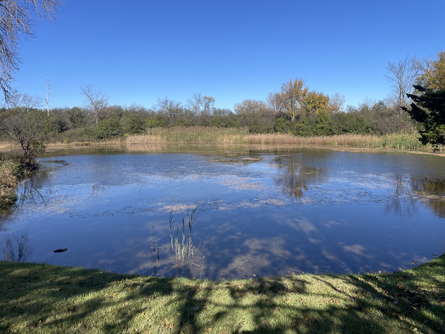 4115 State Rte 31 Crystal Lake, IL 60012 - Photo 10 of 14 a view of a lake in front of a building