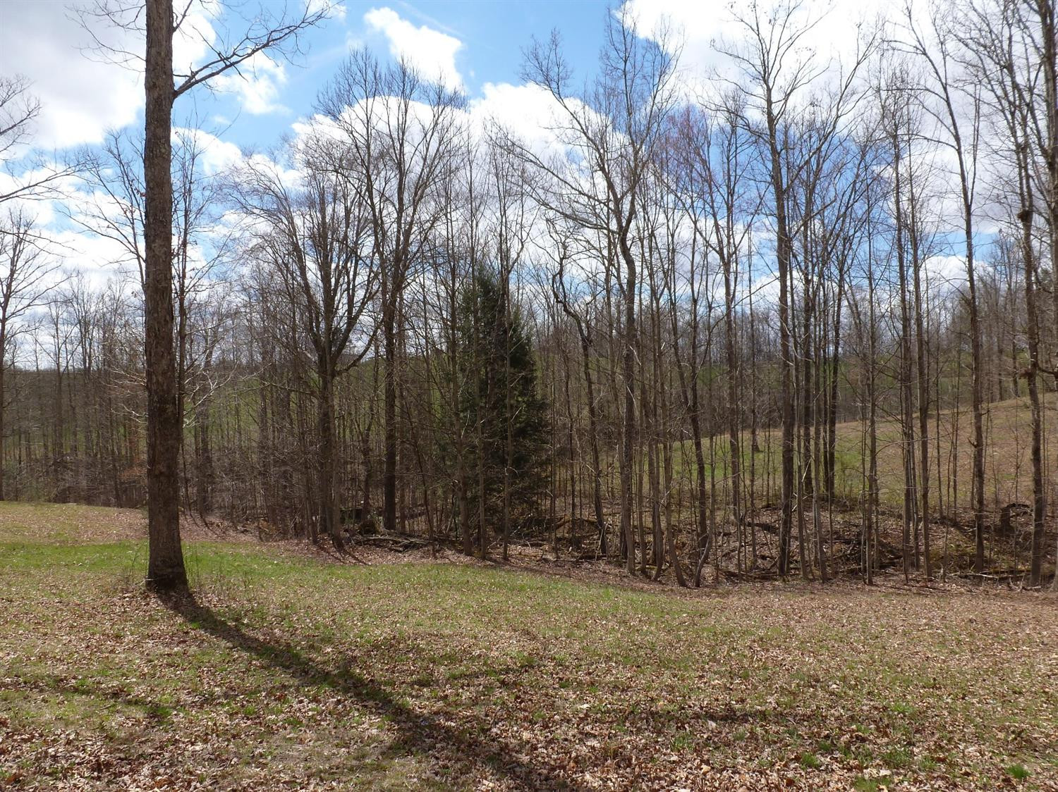 3821 Amos Ridge Road Frenchburg, KY 40322 - Photo 48 of 88 Photo 48