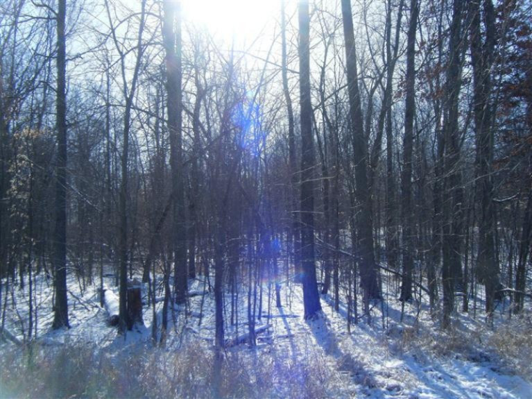 911 Phillip Road Montgomery, MI 49255 - Photo 1 of 15 Primary Photo