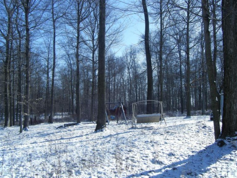 911 Phillip Road Montgomery, MI 49255 - Photo 13 of 15 Additional Photo