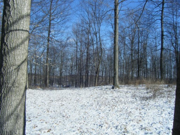 911 Phillip Road Montgomery, MI 49255 - Photo 14 of 15 Additional Photo